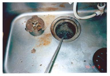 ������r���ǐ��