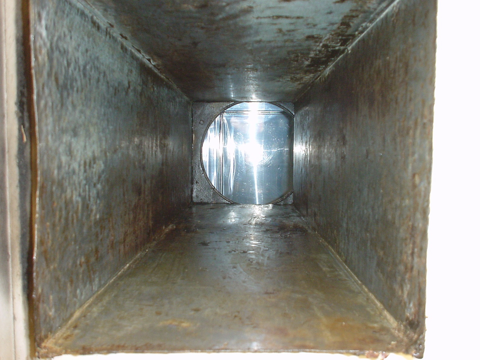 �h���ǐ���